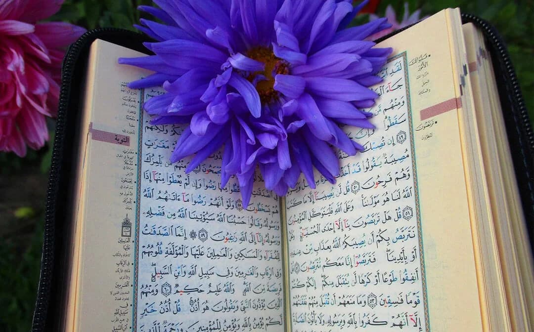 The Importance of Tafseer Quran Online for the Muslims