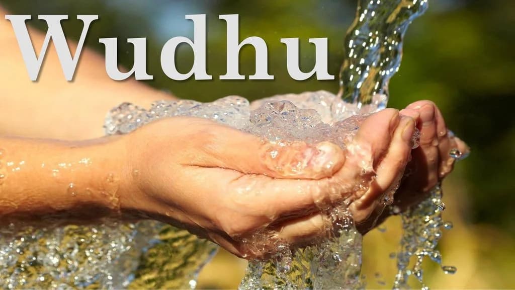 Obligatory And Sunnah Acts In Wudu