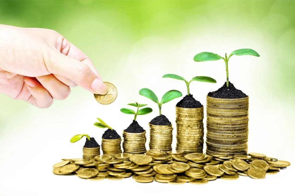 Why Zakat is so Important in Islam?