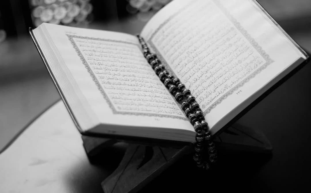 Learn the Quran to Reveal the Miracles Inside It