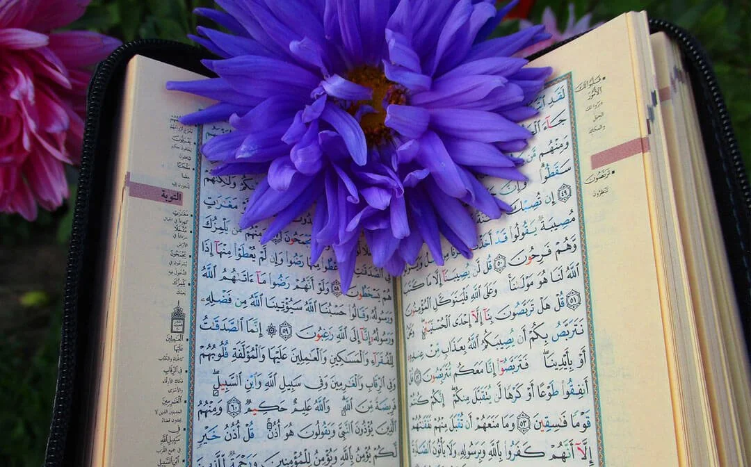 The Importance of Tafseer Quran Online