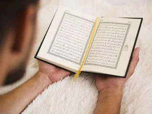 Understand the Quran Word by Word