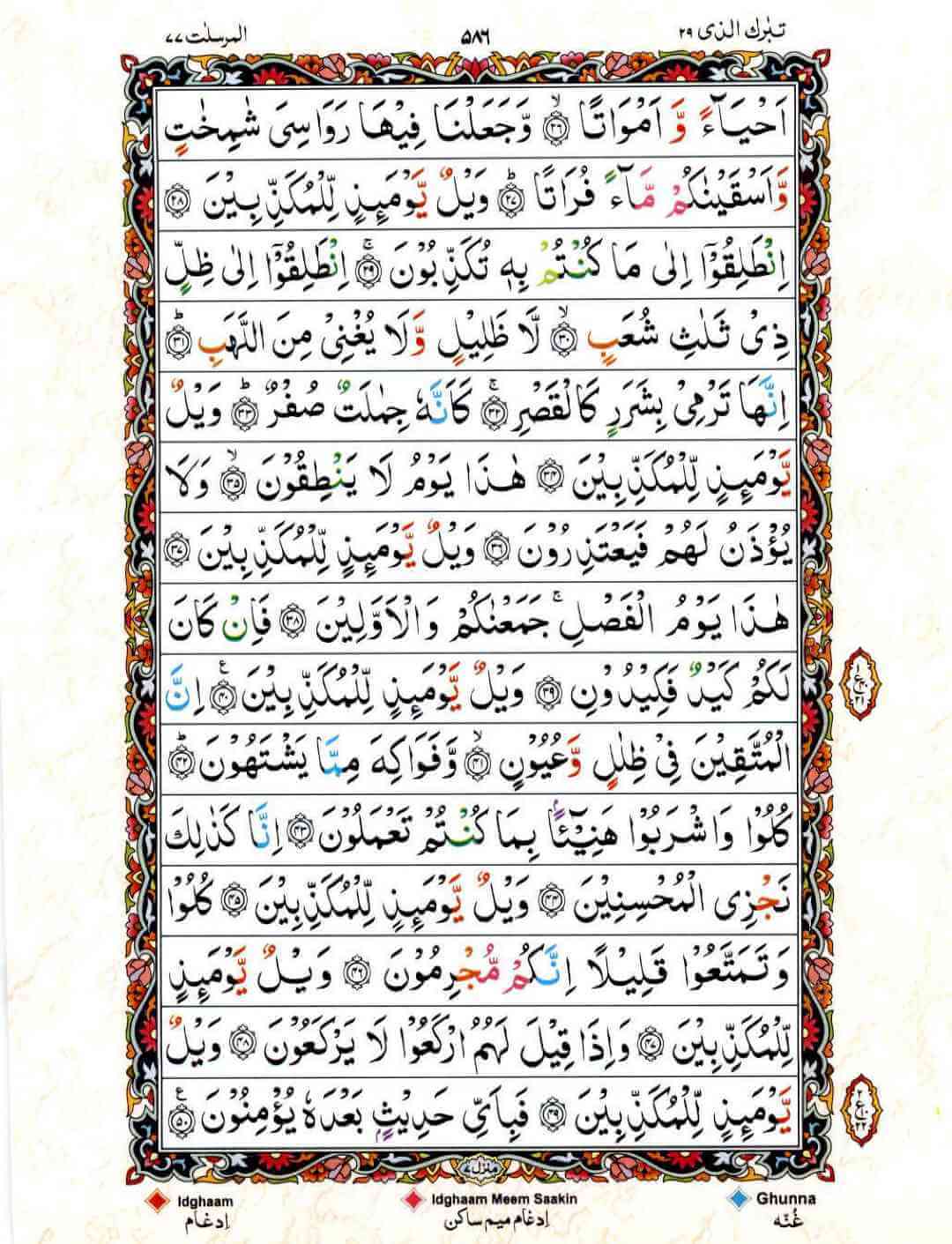Page 24